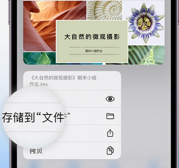 郑州apple维修中心分享iPhone文件应用中存储和找到下载文件