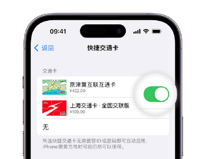 郑州apple维修点分享iPhone上更换Apple Pay快捷交通卡手绘卡面 