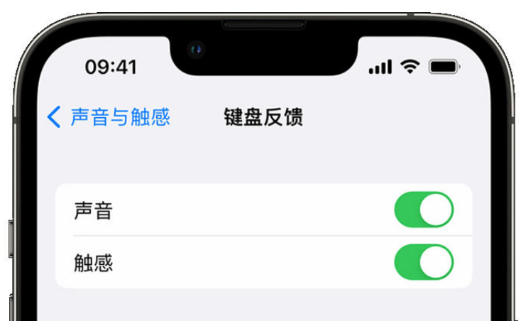 郑州苹果手机维修分享iPhone 14触感键盘使用方法 