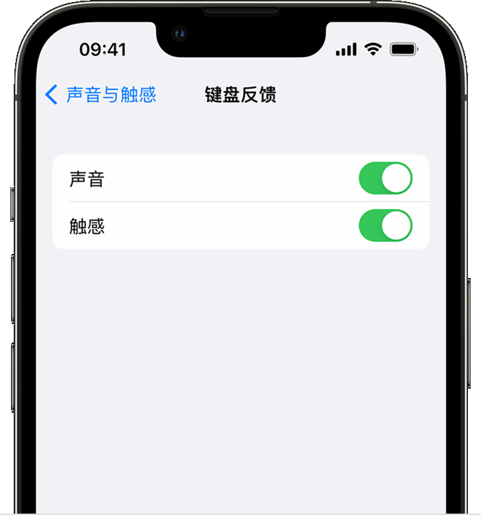 郑州苹果14维修店分享如何在 iPhone 14 机型中使用触感键盘 