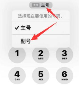 郑州苹果14维修店分享iPhone 14 Pro Max使用副卡打电话的方法 