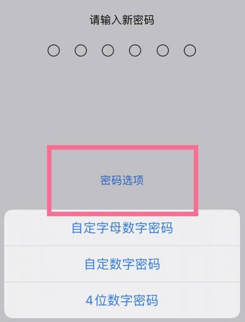 郑州苹果14维修分享iPhone 14plus设置密码的方法 