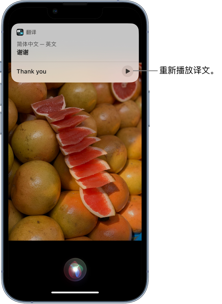 郑州苹果14维修分享 iPhone 14 机型中使用 Siri：了解 Siri 能帮你做什么 