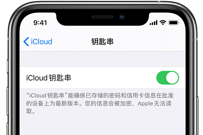 郑州苹果手机维修分享在 iPhone 上开启 iCloud 钥匙串之后会储存哪些信息 