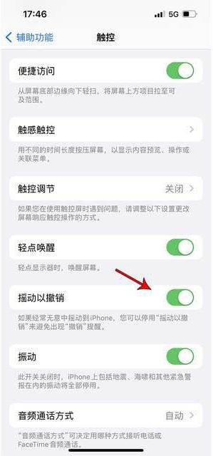 郑州苹果手机维修分享iPhone手机如何设置摇一摇删除文字 